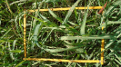 MA_378_F9_1_2