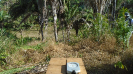 MA_379_F3_pan