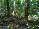 MA_380_F3_pan