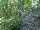 MA_381_F3_pan