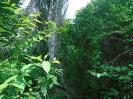 MA_383_F3_pan