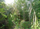 MA_383_F5_4