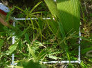 MA_383_F9_2_10