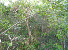 MA_384_F5_3
