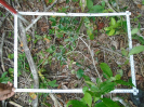 MA_384_F9_4_10