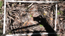 MA_385_F9_2_9