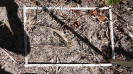 MA_385_F9_4_10