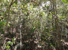 MA_387_F3_pan