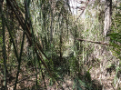 MA_387_F5_2