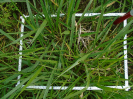MA_392_F9_4_2