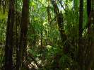 MA_394_F3_pan