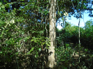 MA_394_F5_3