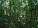 MA_394_F5_4
