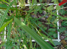 MA_395_F9_2_9