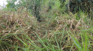 MA_406_F3_pan