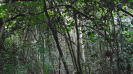 MA_412_F3_pan