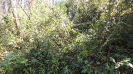 MA_414_K_F3_pan
