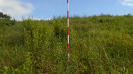 MA_419_F3_pan