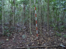 MA_422_F3_pan