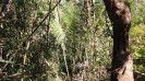 MA_446_F5_3