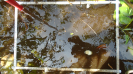 MA_449_F9_4_1