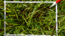 MA_454_F9_2_2