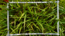 MA_454_F9_3_1