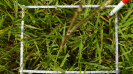 MA_454_F9_4_9