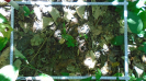 MA_455_F9_1_10