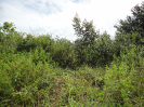 MA_463_F3_pan