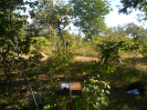 MA_478_F3_pan