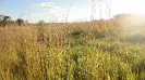 MA_481_F5_4