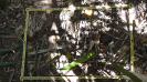 MA_481_F9_1_10
