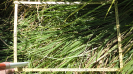 MA_481_F9_2_2