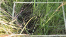 MA_481_F9_4_2
