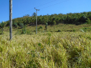 MA_487_F3_pan