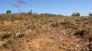 MA_494_F3_pan