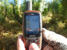 MA_498_F3_gps