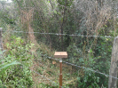 MA_502_F3_pan