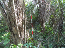 MA_50_F3_pan