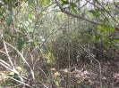 MA_512_F3_pan