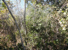 MA_512_F5_3