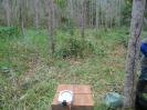MA_528_F3_pan