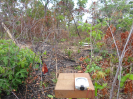 MA_543_F3_pan