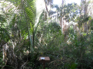 MA_550_F3_pan