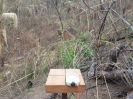 MA_561_F3_pan
