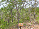 MA_568_F3_pan