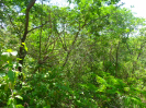 MA_568_F5_4