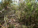 MA_570_F3_pan