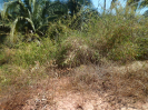 MA_571_F3_pan
